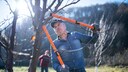 Mann beim Baumschnitt im Garten