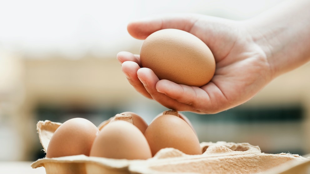 Eier im Karton
