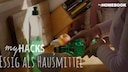 Essig Hausmittel