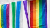 Flagge Balkon: Bunte Regenbogen-Flaggen hängen an Fenster und Balkon