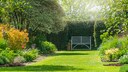Eine dichte Hecke schützt nicht nur vor neugierigen Blicken, sondern kann auch optisch einen Garten abrunden