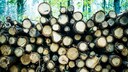 Holzstapel