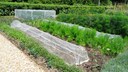 Gartenvlies