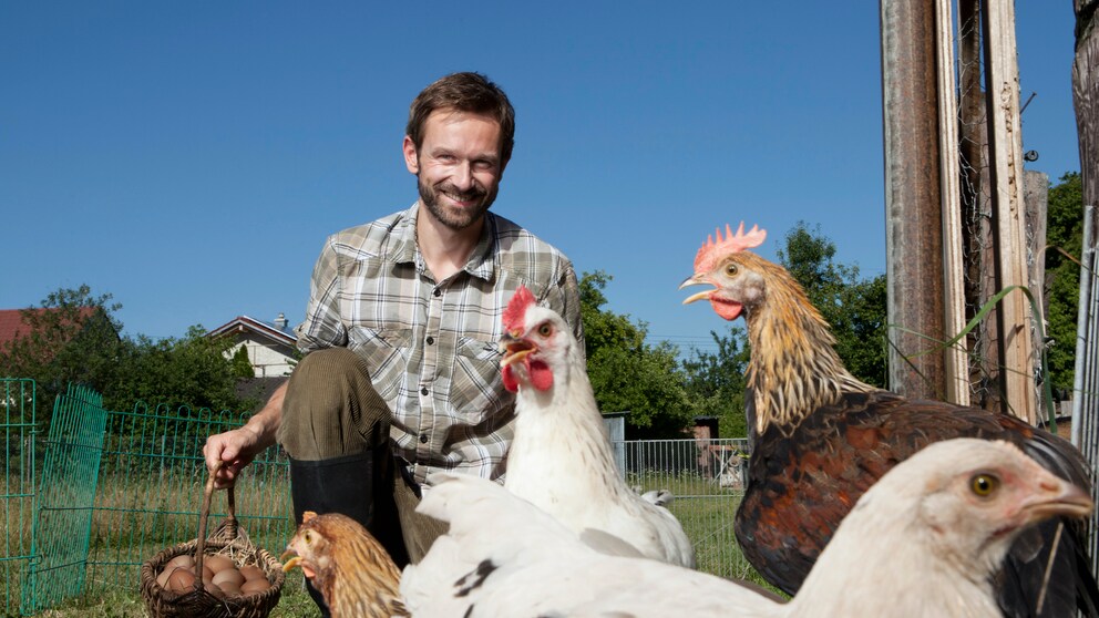 Mann mit Hühnern im Garten