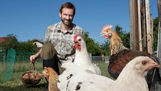 Mann mit Hühnern im Garten