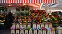 Ob Blumenstrau&szlig; oder Zimmerpflanze &ndash; Im Fachhandel sind Pflanzen teuerer als im Supermarkt. Woran liegt das?