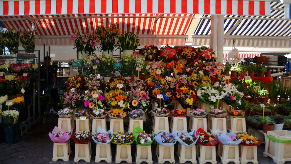 Ob Blumenstrauß oder Zimmerpflanze – Im Fachhandel sind Pflanzen teuerer als im Supermarkt. Woran liegt das?