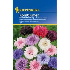 Kiepenkerl Kornblumen Saatmischung Mehrfarbig