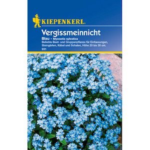 Kiepenkerl Vergissmeinnicht Samen Blau