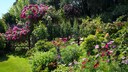 Blumenbeet im Garten