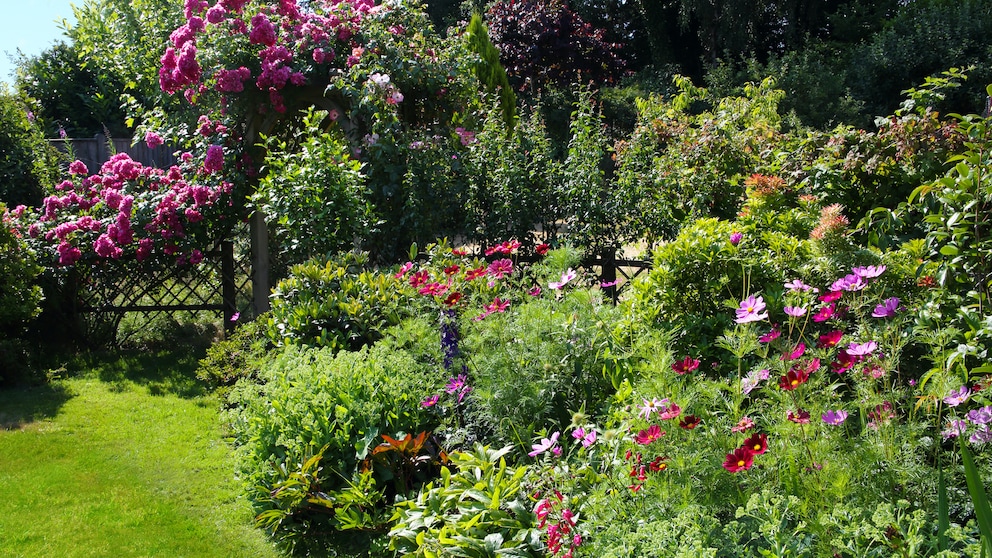 Blumenbeet im Garten