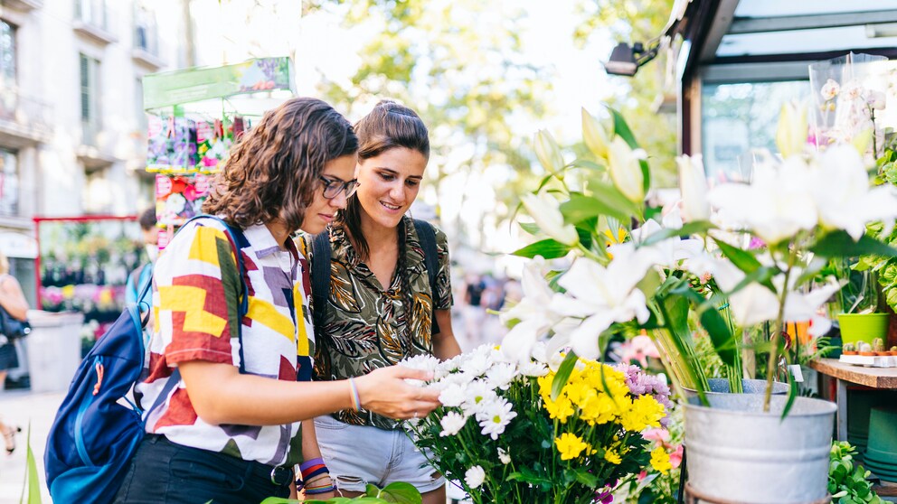Blumen des Jahres 2022
