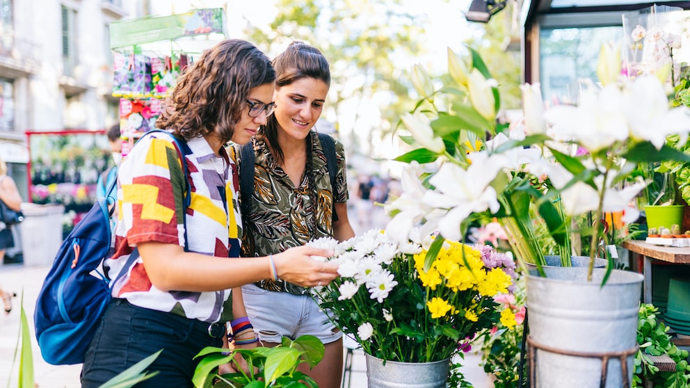 Blumen des Jahres 2022