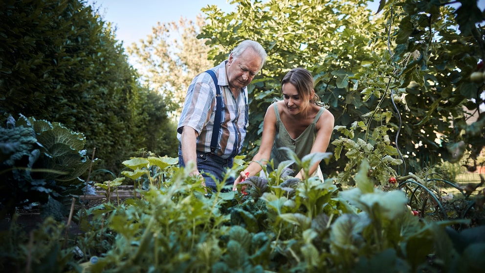 Drei-Zonen-Garten