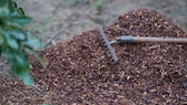 Mulch im Garten