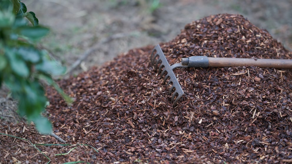 Mulch im Garten