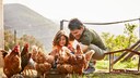 H&uuml;hner im eigenen Garten halten wird immer beliebter. Ist Mieten eine Alternative zum Kauf?