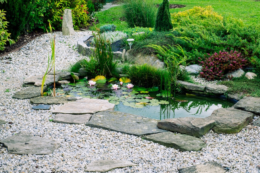 Wasser im Garten - Gartenblick