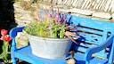 Eine Zinkwanne eignet sich hervorragend als Blumenkübel. Der Fantasie sind keine Grenzen gesetzt.