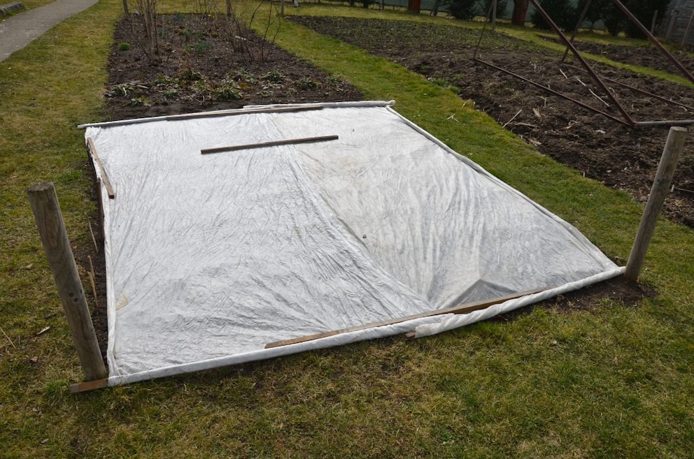 A section of sown lawn is covered to prevent birds from eating the seeds.