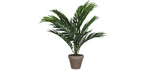 Kunstpflanze Areca Palme