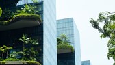 nachhaltige Wolkenkratzer-Gebäudekomplex mit üppigen Gartenbalkonen