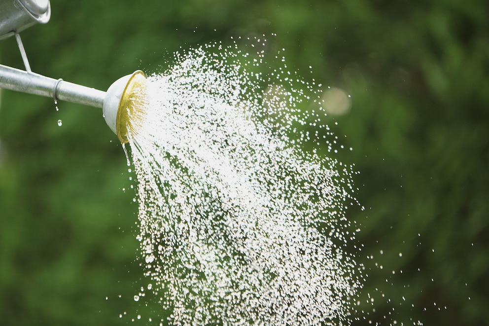 Hang bewässern: Wasser perlt aus einer Gießkanne