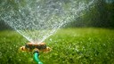 Rasen im Sommer wässern