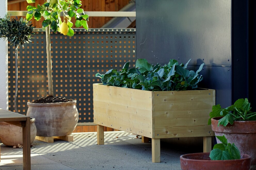 Pflanzen auf dem Feng Shui-Balkon