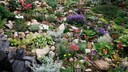 Garten in Hanglage