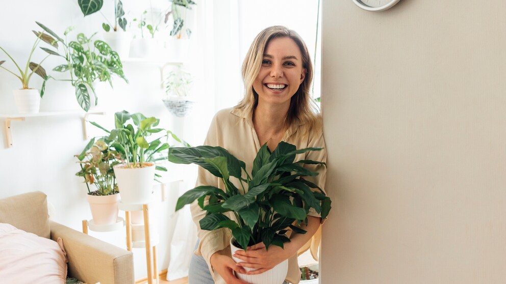 Grünpflanzen stärken die mentale Gesundheit, egal ob es sich dabei um Garten- oder Zimmerpflanzen handelt