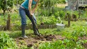 Boden belüften: Frau gräbt Gartenbeet um