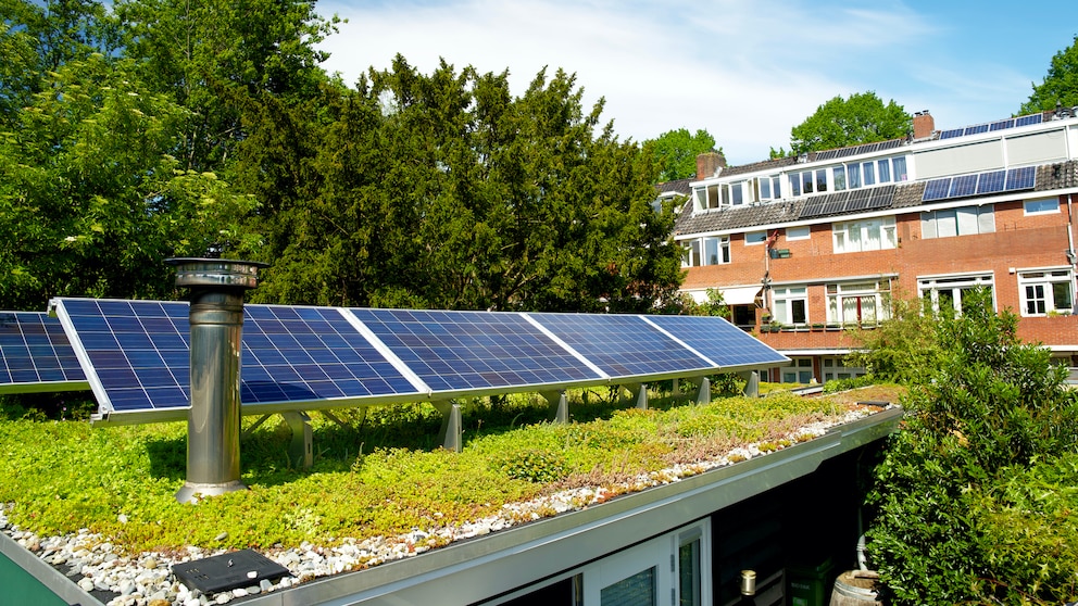 Solargründach