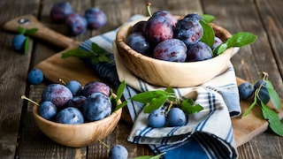 Zwetschgen gehören zu den beliebtesten Obstsorten für den heimischen Garten