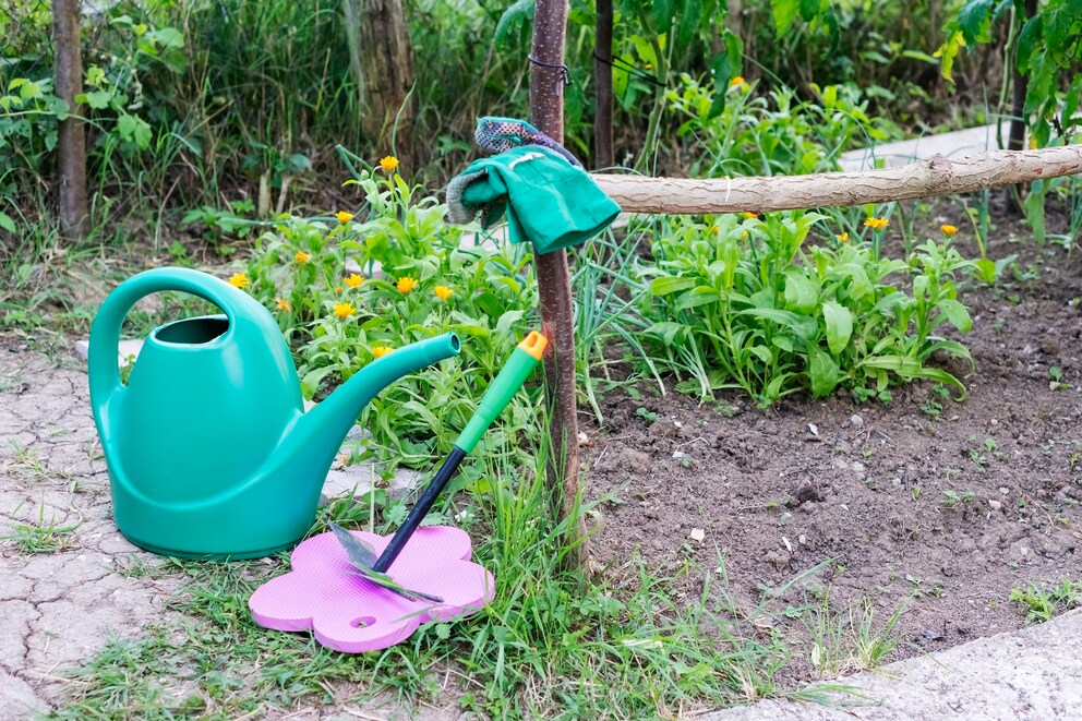 Wie Man Pflanzen Im Spätsommer Auf Den Herbst Vorbereiten Kann