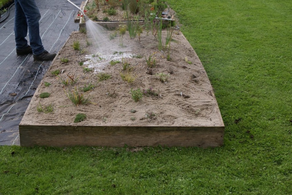 Perennial Bed