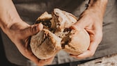 Brot muss nicht immer im Ofen gebacken werden, es gibt mehrere Möglichkeiten Brot ohne Ofen zu backen