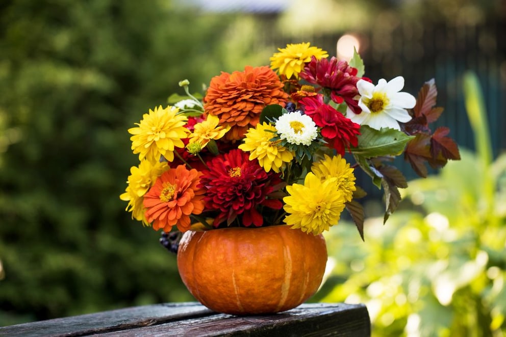 A pumpkin can be wonderfully repurposed as a vase. Well-carved and prepared, it lasts for several weeks