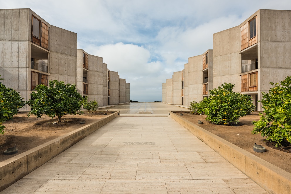 Salk Institute