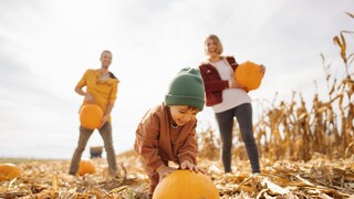 Eine Familie ist zusammen bei der Kürbisernte