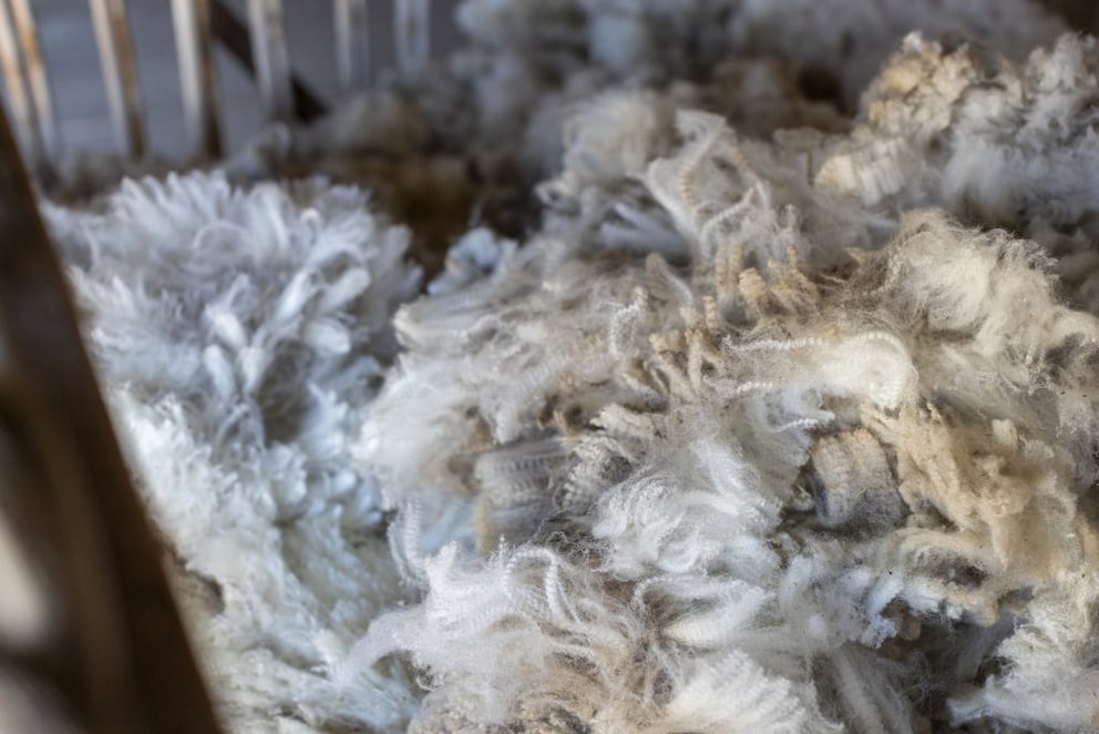 Virgin wool as sustainable bedding filling