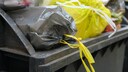 Mülltrennung bei der Mülltonne