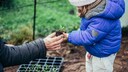 Spielt das Wetter mit, kann man auch im Winter robuste Gemüsesorten pflanzen