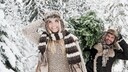 Weihnachtsbaum selbst schlagen: Ein Paar trägt lächelnd einen Weihnachtsbaum durch winterliche Schneelandschaft