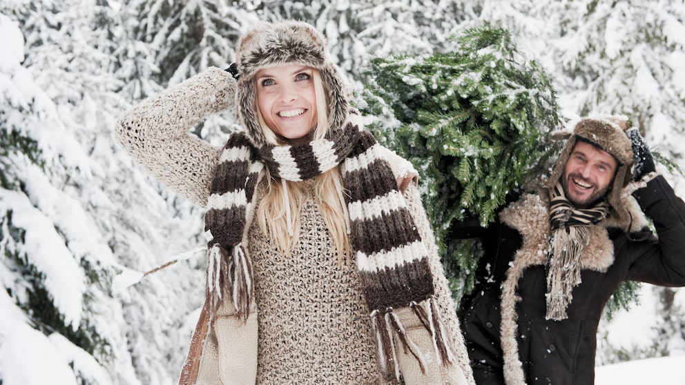 Weihnachtsbaum selbst schlagen: Ein Paar trägt lächelnd einen Weihnachtsbaum durch winterliche Schneelandschaft