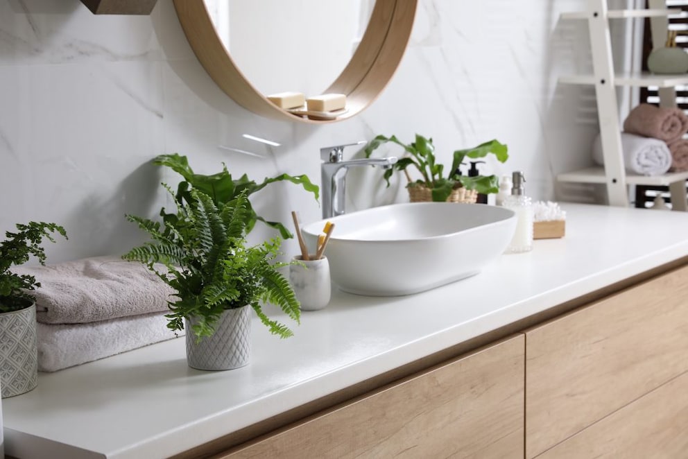 Fern in the bathroom