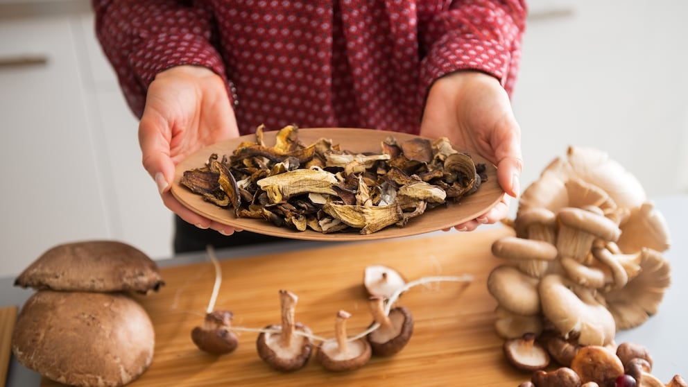 Gesammelte Pilze schmecken am besten. Leider sind sie nur kurz haltbar und auch ihre Saison ist sehr kurz. Wenn man sie trocknet, hat man das ganze Jahr etwas davon