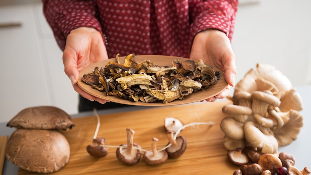 Gesammelte Pilze schmecken am besten. Leider sind sie nur kurz haltbar und auch ihre Saison ist sehr kurz. Wenn man sie trocknet, hat man das ganze Jahr etwas davon