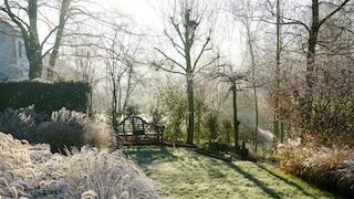 Viele Outdoor-Pflanzen brauchen einen Frostschutz, um niedrige Temperaturen unbeschadet überstehen zu können