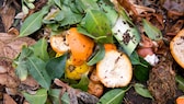 Orangenschalen auf dem Kompost